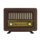 15267-camlica-radyo-promosyon-radyo-40290-11-B