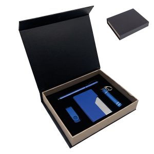 42373 - KAYNARCA SET + USB